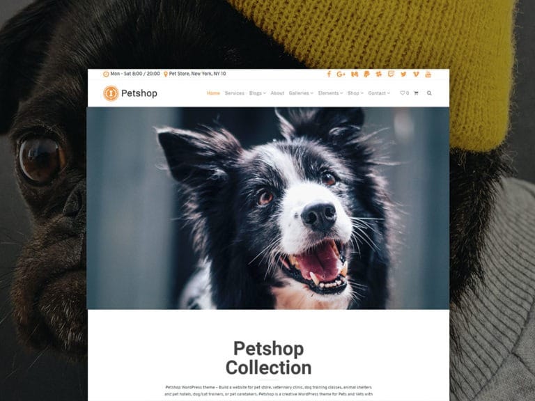 Petshop WordPress Theme – Responsive Pets Site Builder