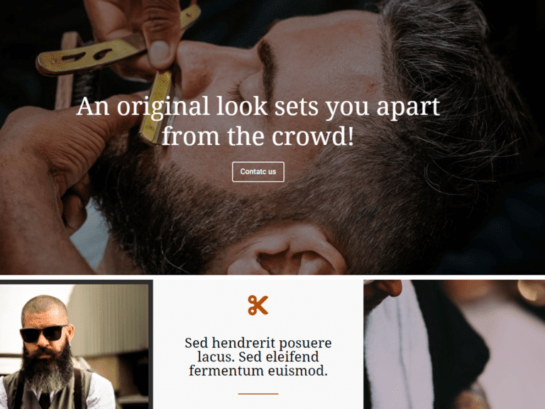 Barber- Anzu theme Borderless plugin WordPress pre-built website template