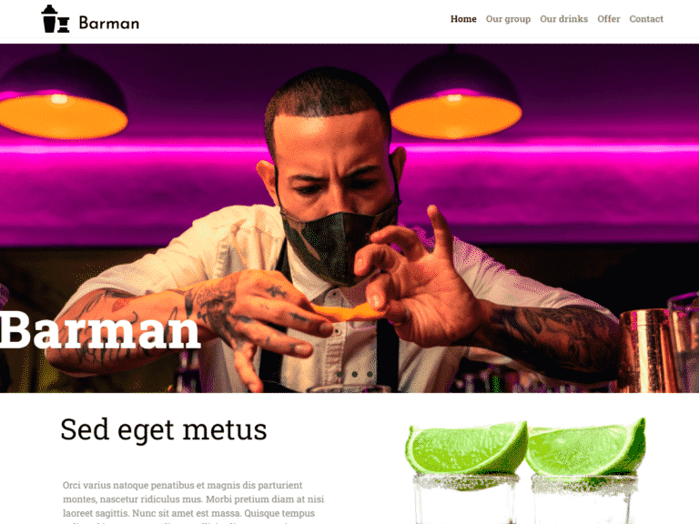 Barman-Anzu theme Borderless plugin WordPress pre-built website template