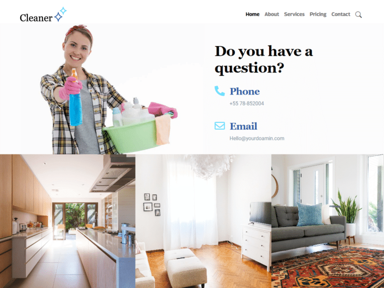 Cleaner-2-Anzu theme Borderless plugin WordPress pre-built website template