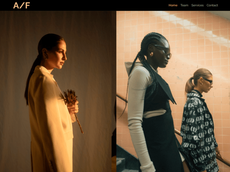 Fashion Agency Pre Built Website Start Template Borderless WordPress Plugin Library